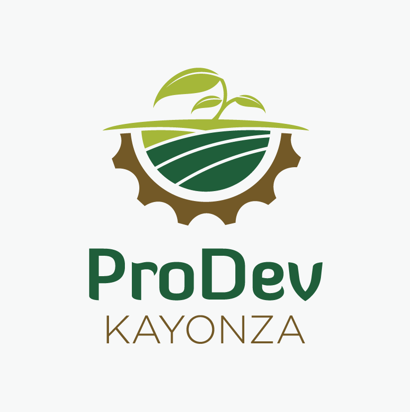 ProDev