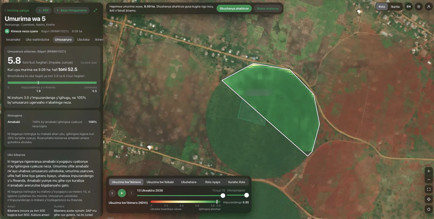 Umujyanama field page showing a maize yield estimate beside the field's satellite crop-health map